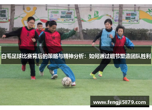 白毛足球比赛背后的策略与精神分析：如何通过细节塑造团队胜利