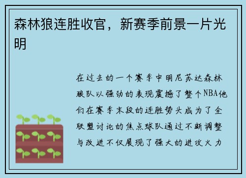 森林狼连胜收官，新赛季前景一片光明